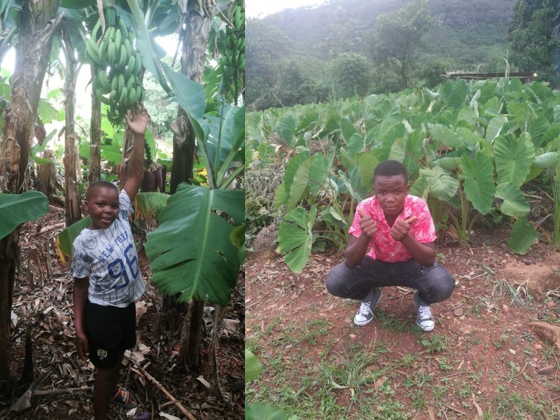 Manicaland - Community Projects