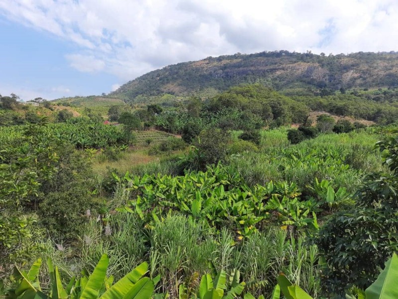 Manicaland - Community Projects